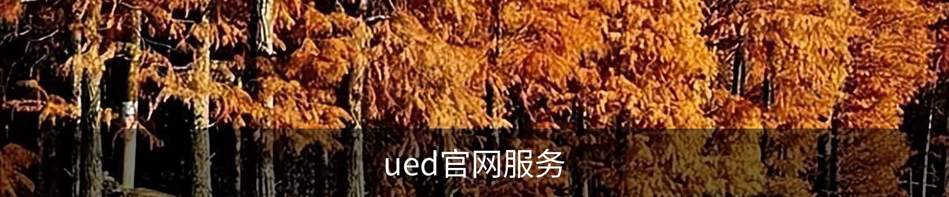 ued官网服务