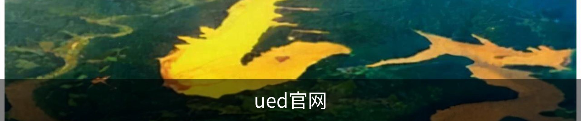 ued官网